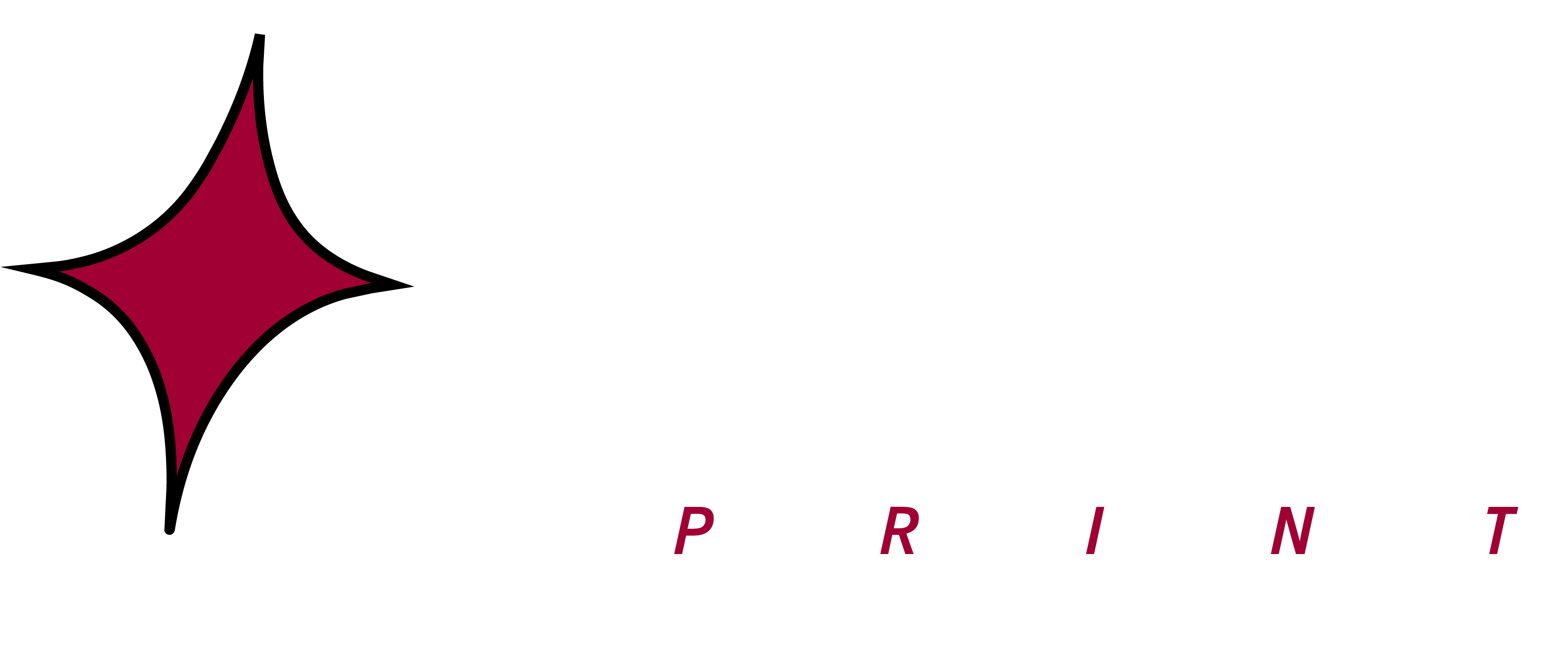 Flyr Print